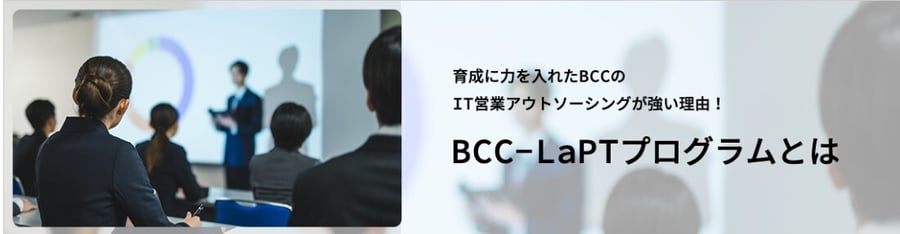 laptprogram
